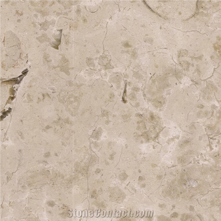 Valtura Statuario Limestone Tile