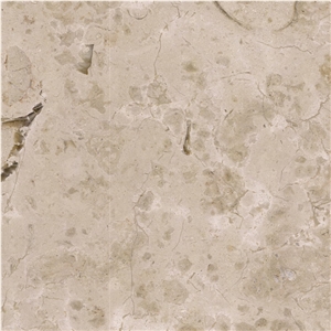 Valtura Statuario Limestone Tile