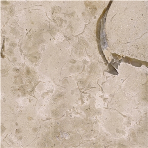 Valtura Statuario Limestone Tile