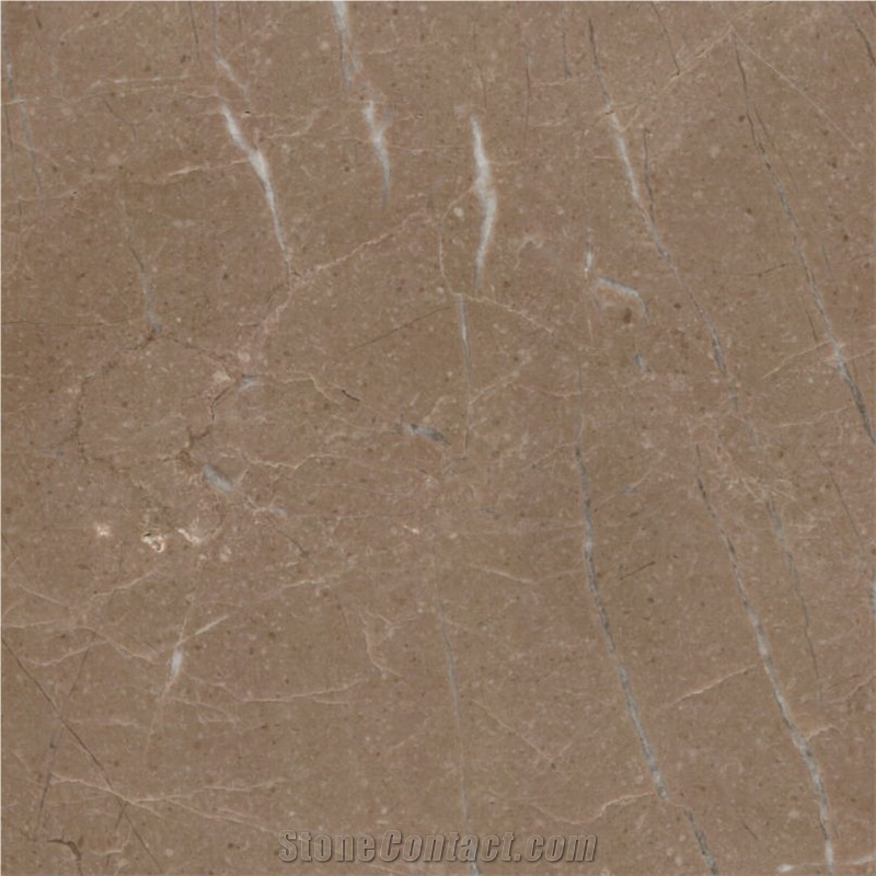 Vanmer Brown Marble Tile