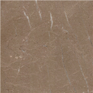 Vanmer Brown Marble Tile