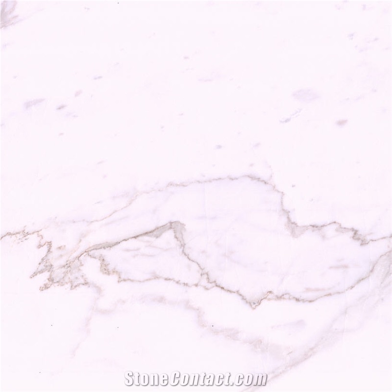 Venatino Tipo Calacato Tile