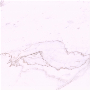 Venatino Tipo Calacato Tile