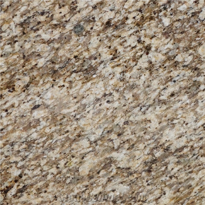 Veneciatus Granite importance=