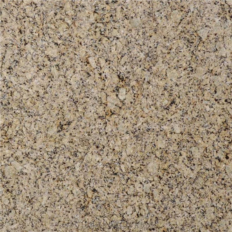 Venetian Ice Granite importance=