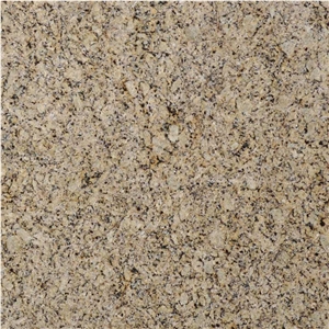 Venetian Ice Granite