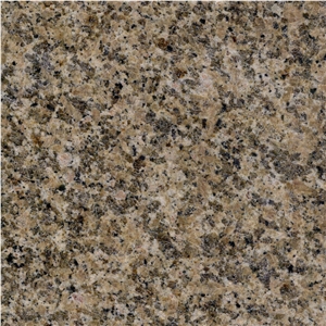 Venice Gold Granite