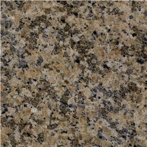 Venice Gold Granite Tile
