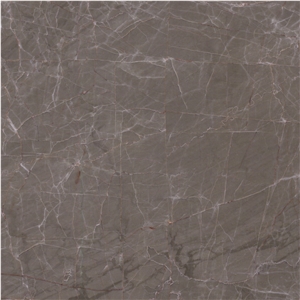 Venus Gray Marble