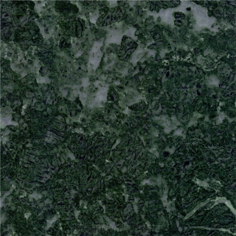 Verde Issogne Marble importance=