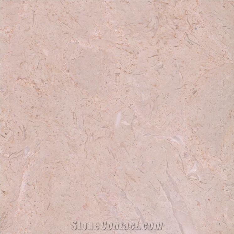 Vermion Beige Marble importance=