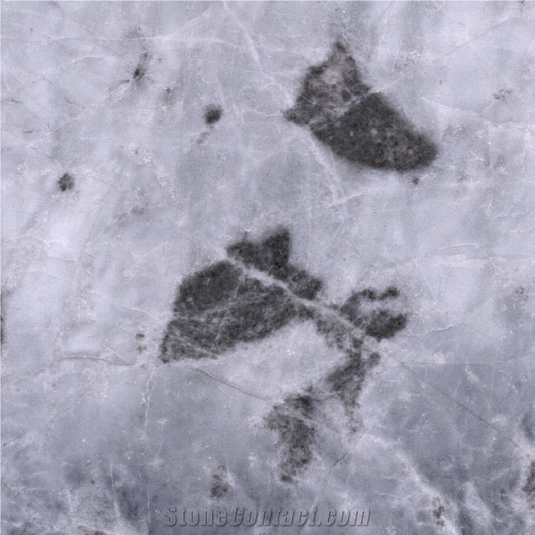 Victoria Nuvola Marble Tile