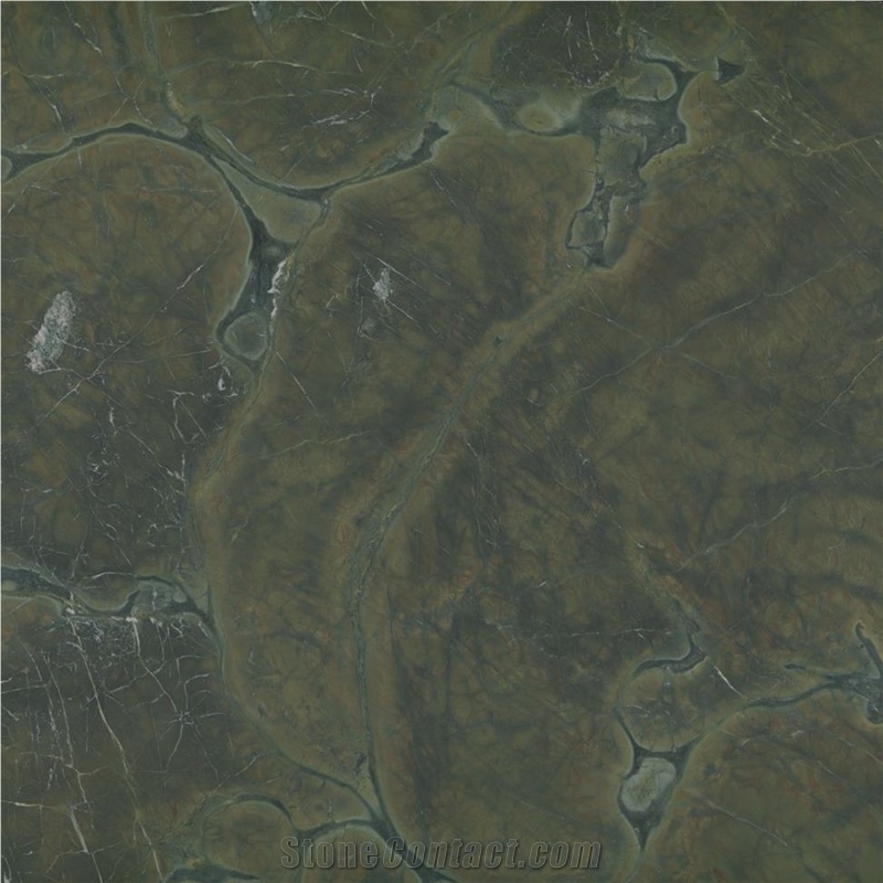 Vitoria Regia Quartzite Tile
