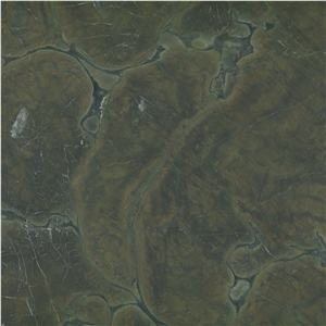 Vitoria Regia Quartzite Tile