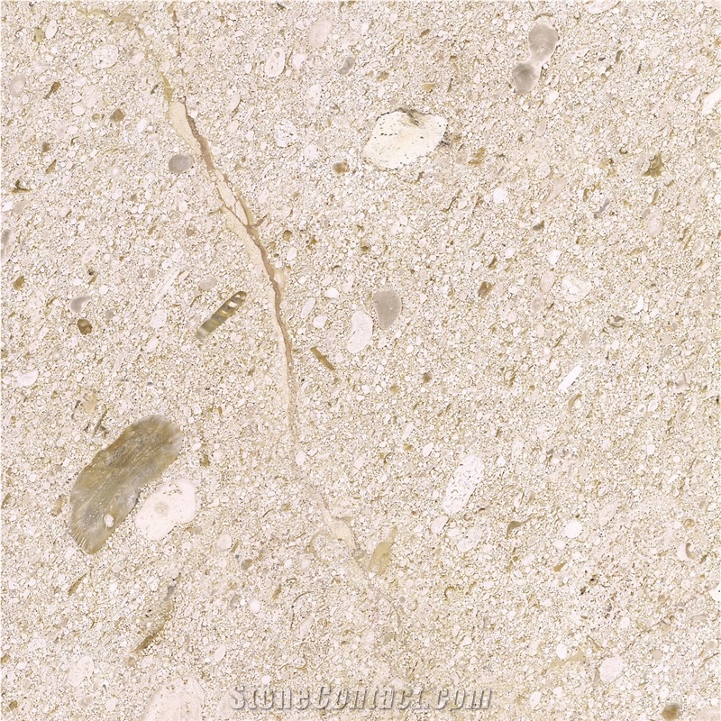 Warm Beige Limestone importance=