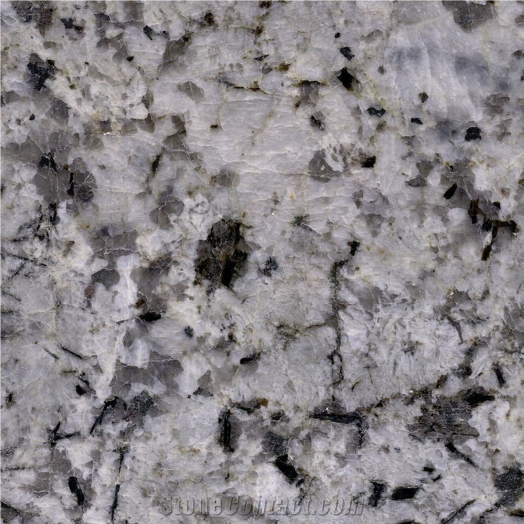 White Champagne Granite importance=