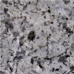 White Champagne Granite