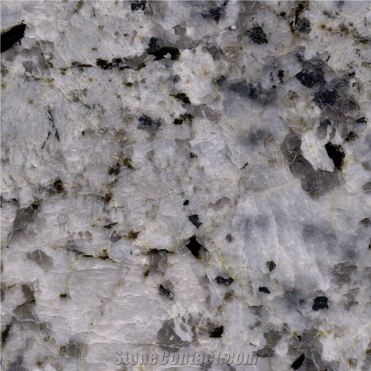 White Champagne Granite Tile