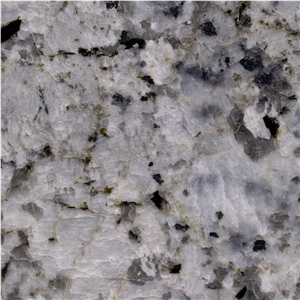 White Champagne Granite Tile