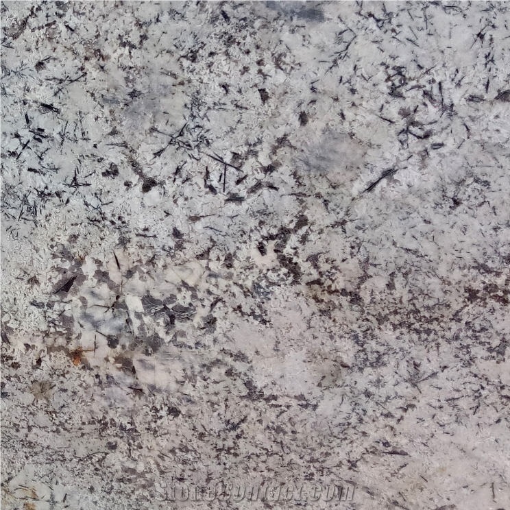 White Champagne Granite Tile