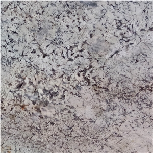 White Champagne Granite Tile