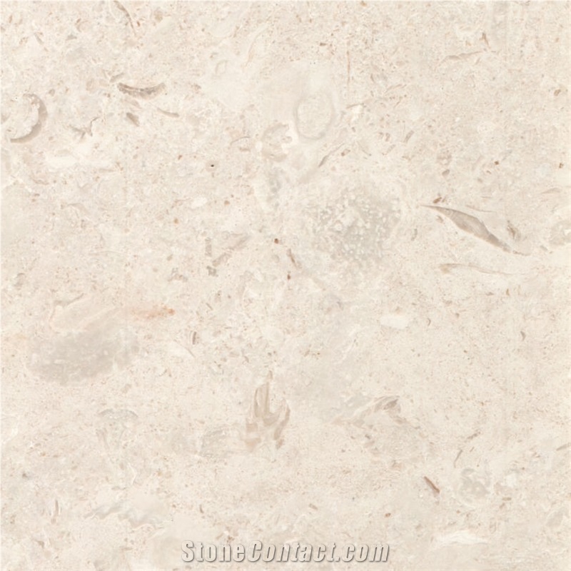 White Coral importance=