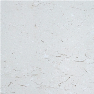White Fossil Limestone