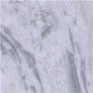 White Galaxy Marble Tile
