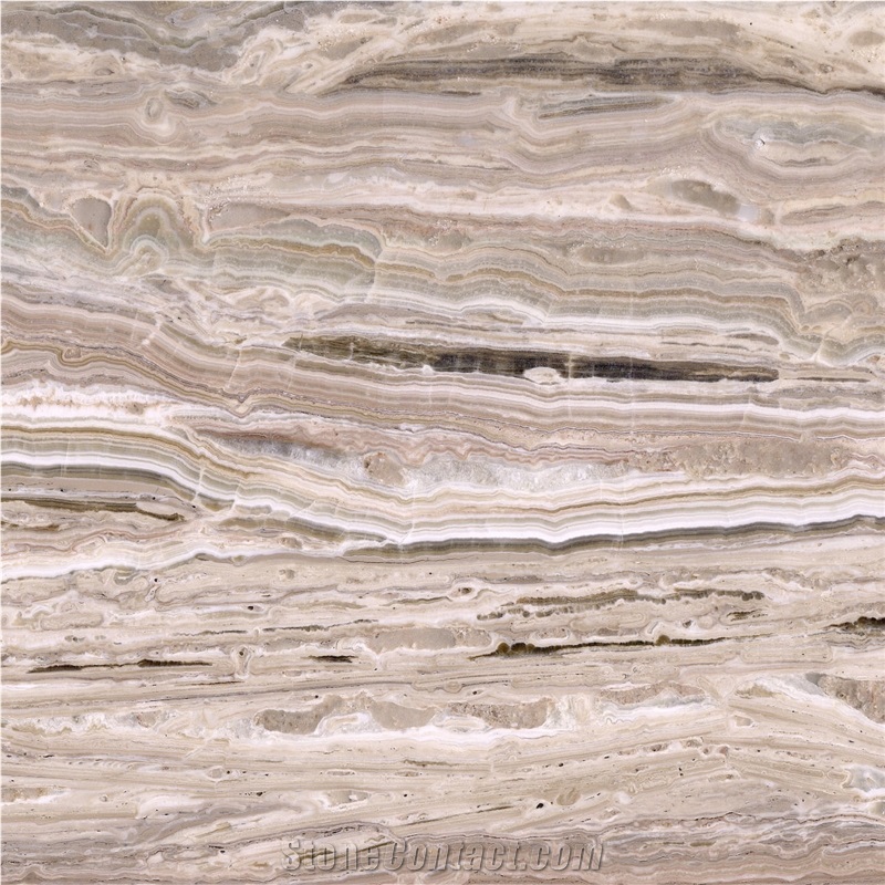 White Traonyx importance=