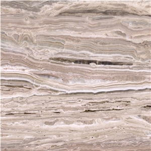 White Traonyx