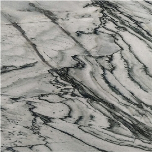 Wild Pearl Quartzite Tile