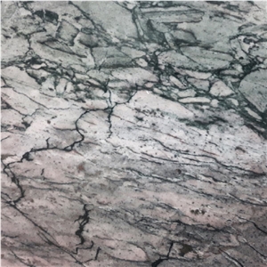 Wild Pearl Quartzite Tile