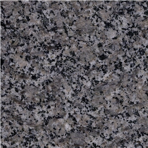 Wulian Flower Grey Granite Tile