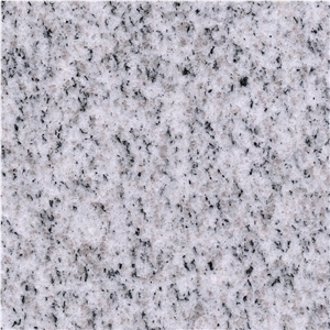 Xinjiang White Galaxy