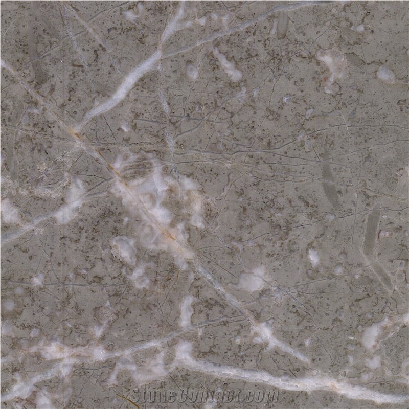 Xixi Li Grey Marble importance=