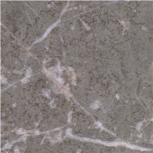 Xixi Li Grey Marble