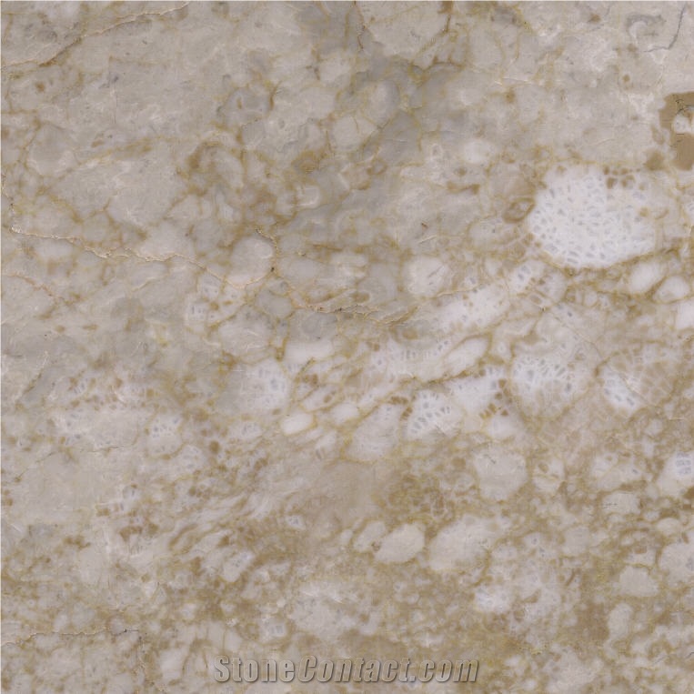 Yugong Cream Marble importance=
