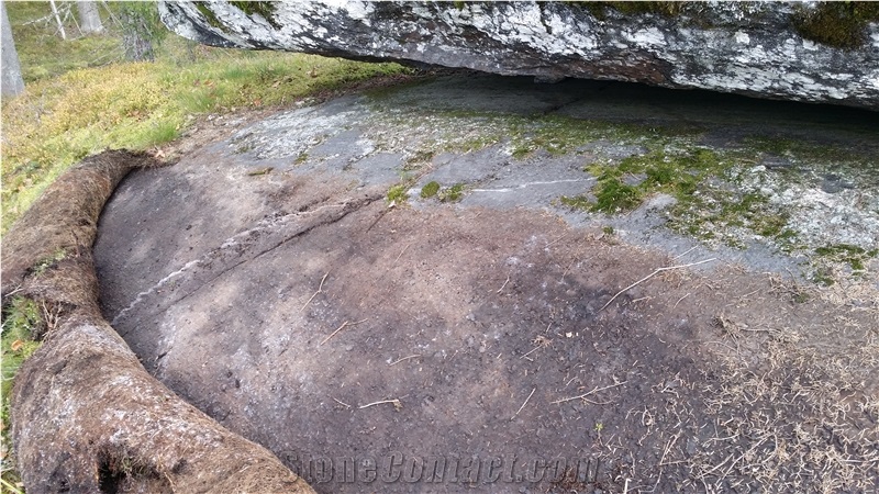 Riuttalampi black quartzite