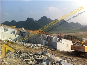 Vietnam Blue Stone Thanh Hoa Quarry