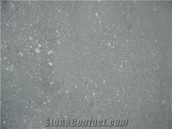 Verde Salvan Gneiss-Vert de Glacier Gneiss Quarry