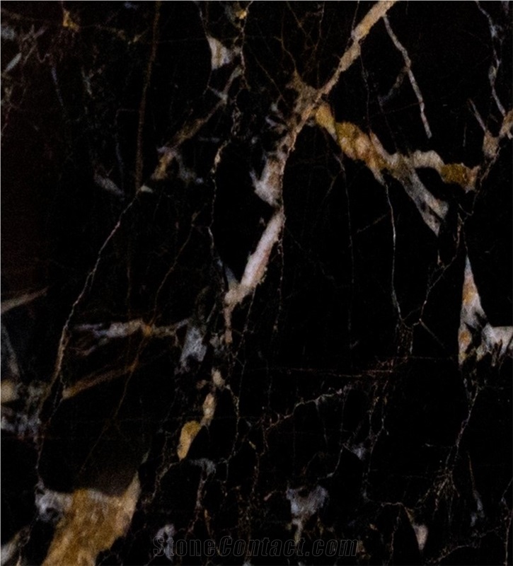 Nero Saint Laurent - Nero St Laurent,Noir Francaise- Marble Quarry