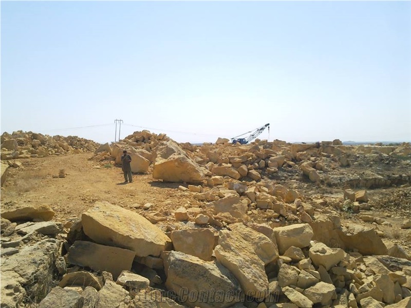 Fossil Yellow Wood Marble Quarry