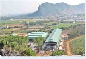 Nui Loang Vietnam Red Dragon Marble Quarry