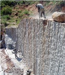 Amazon Flower , Prata da Amazonia Granite Quarry
