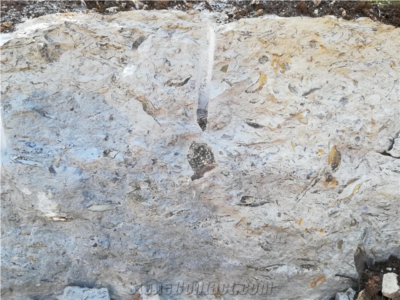 Shell Reef Blue Quarry