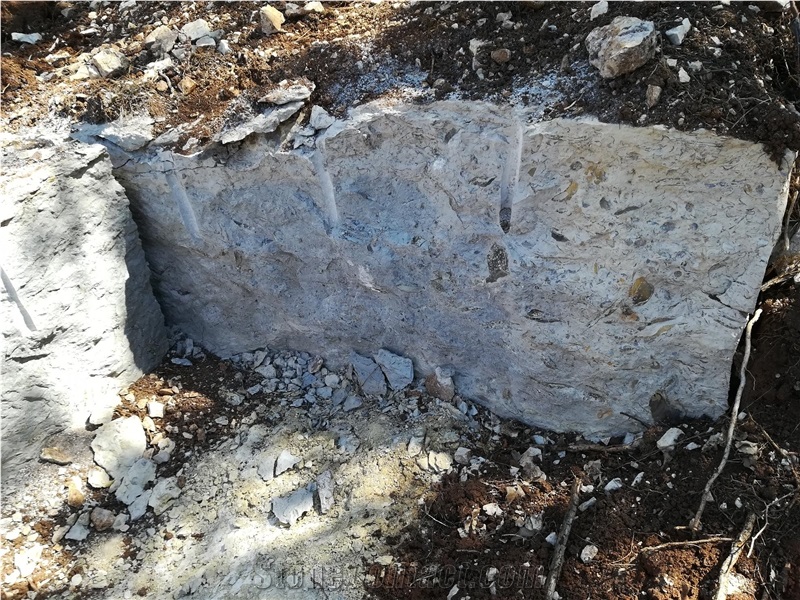Shell Reef Blue Quarry