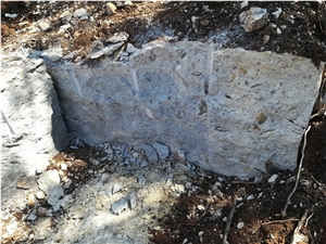 Shell Reef Blue Quarry