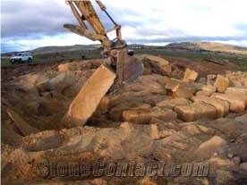 Buckland Sandstone Mace"s Quarry