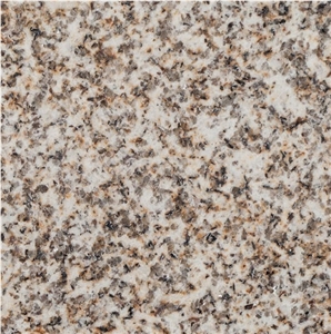 Amarelo Vila Real Granite- Amarelo Real Quarry