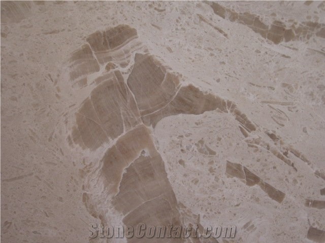 Calix Limestone Petrada Hum Quarry